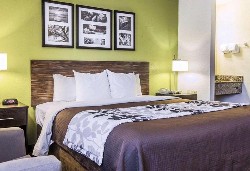 キングサイズベッドのスタンダードルーム, Sleep Inn Walterboro I95