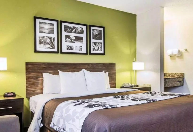 キングサイズベッドのスタンダードルーム, Sleep Inn Walterboro I95