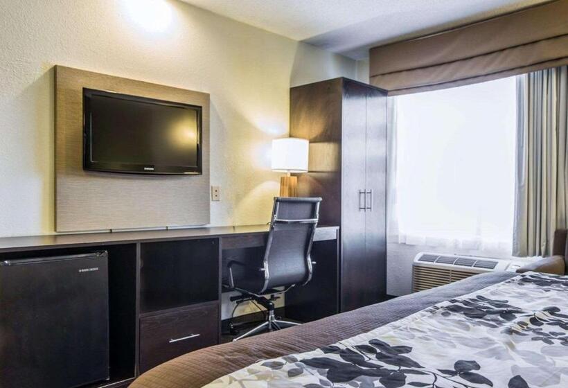 キングサイズベッドのスタンダードルーム, Sleep Inn Walterboro I95