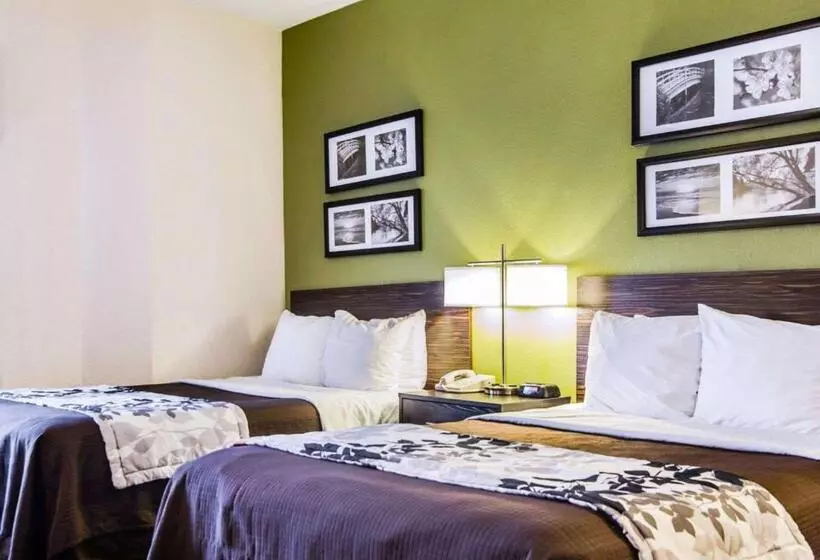 ２ダブルベッドのスタンダードルーム, Sleep Inn Walterboro I95