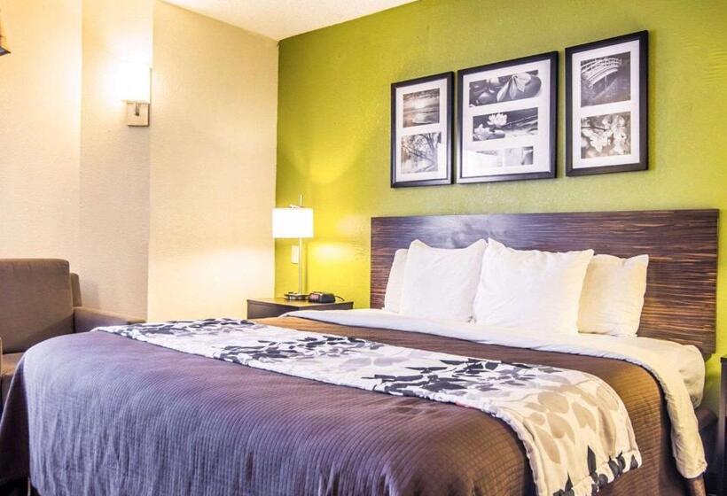 身障者適用クイーンサイズベッドルーム, Sleep Inn Walterboro I95