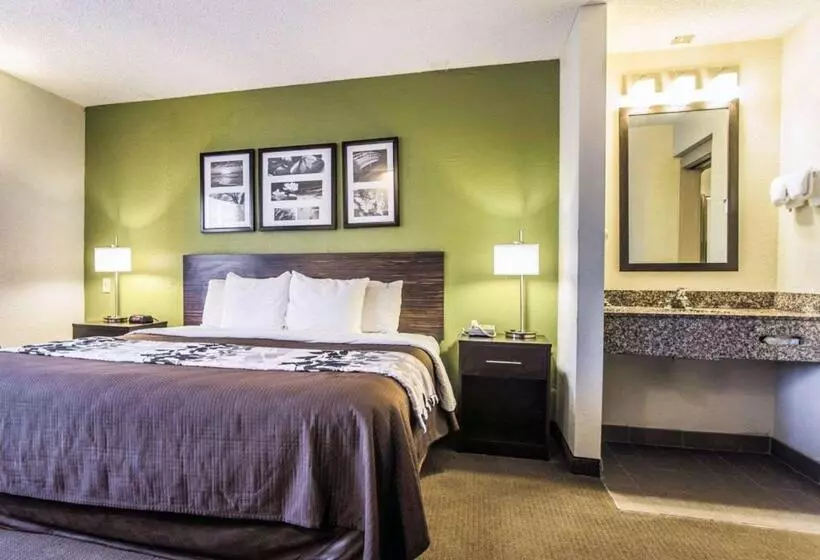 身障者適用クイーンサイズベッドルーム, Sleep Inn Walterboro I95