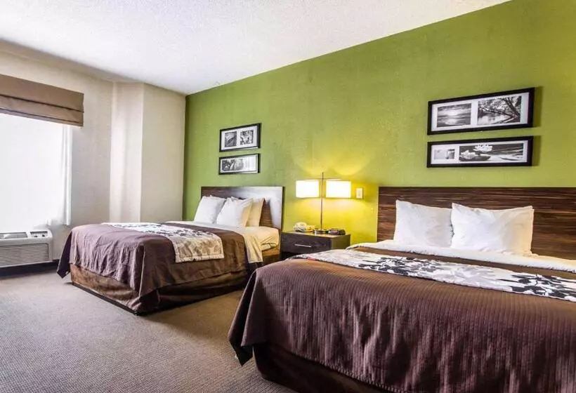 身障者適用クイーンサイズベッドルーム, Sleep Inn Walterboro I95