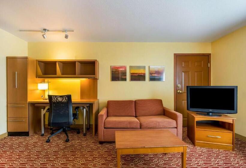 إستوديو قياسى سرير ملكى, Sonesta Simply Suites Detroit Novi