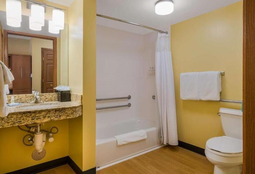 Студия Стандарт Кровать Куин, Sonesta Simply Suites Detroit Novi