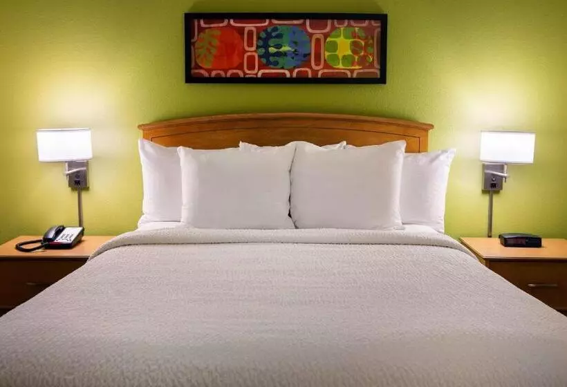 クイーンサイズベッドのスイートルーム, Sonesta Simply Suites Detroit Novi