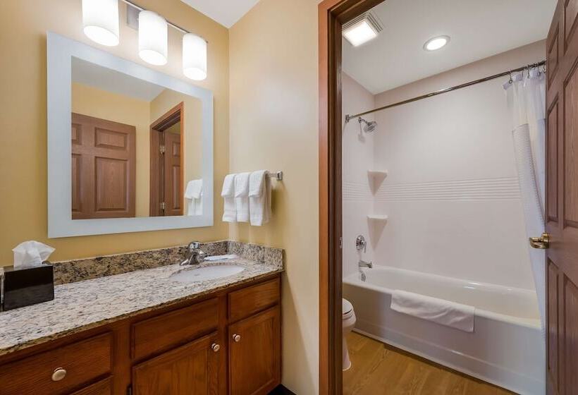 جناح لذوى الاحتياجات الخاصة, Sonesta Simply Suites Detroit Novi