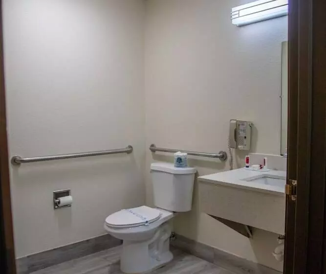 اتاق استاندارد برای معلولان, Super 8 By Wyndham Mountain Home