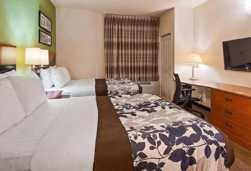 اتاق استاندارد با 2 تخت دوبل, Wingate By Wyndham Macon West