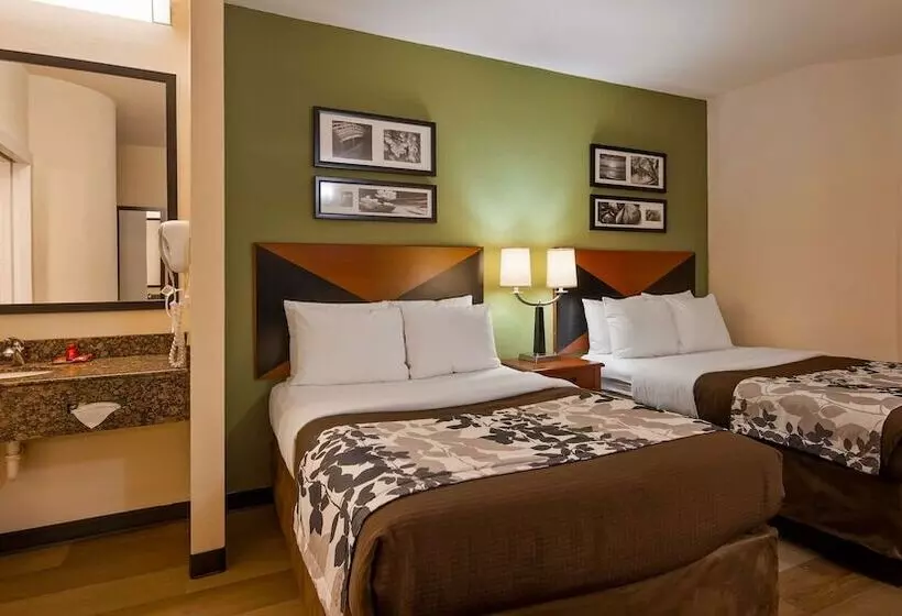 اتاق استاندارد با 2 تخت دوبل, Wingate By Wyndham Macon West