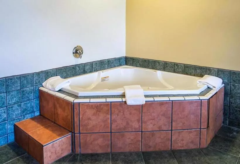 デラックススタジオ, Wingate By Wyndham Dublin Near Claytor Lake State Park