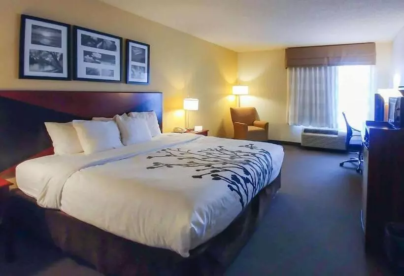 デラックススタジオ, Wingate By Wyndham Dublin Near Claytor Lake State Park