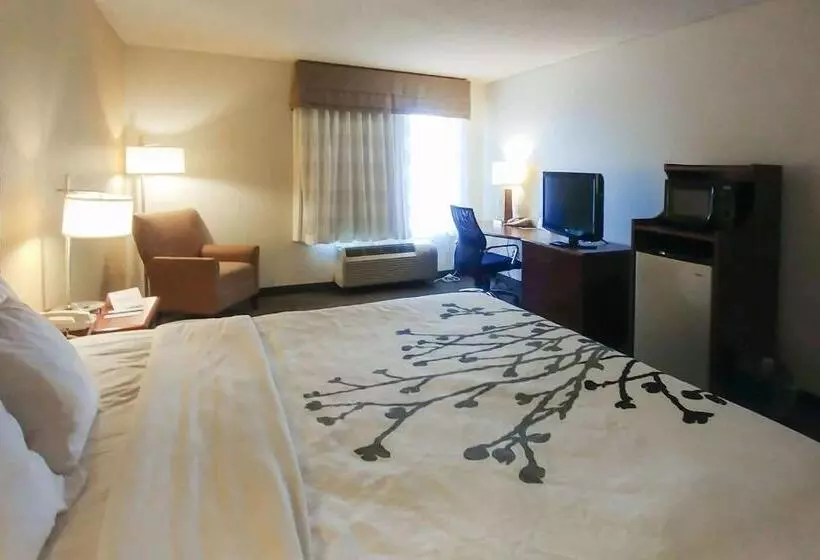 身障者適用キングサイズベッドルーム, Wingate By Wyndham Dublin Near Claytor Lake State Park