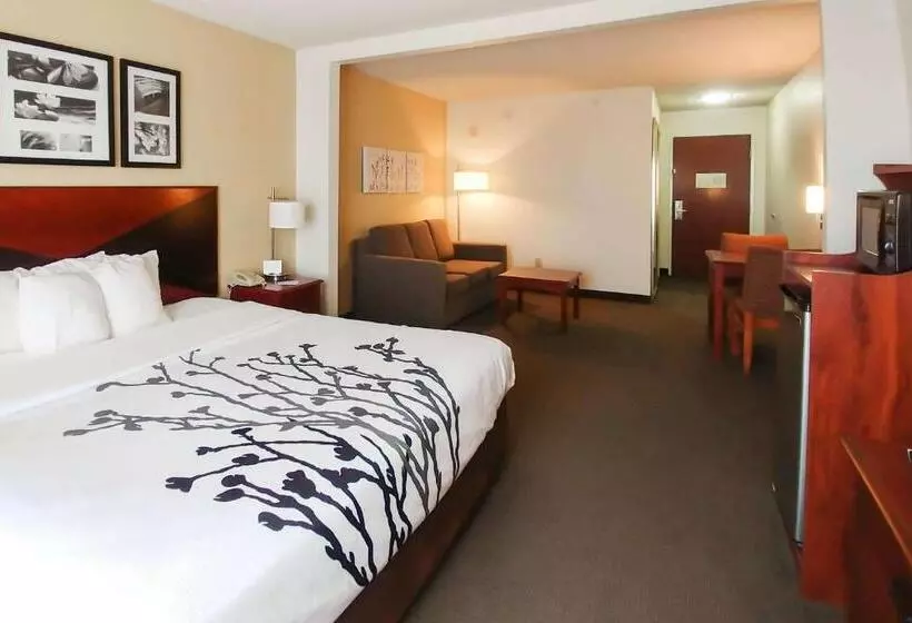 キングサイズベッドのデラックススイート, Wingate By Wyndham Dublin Near Claytor Lake State Park