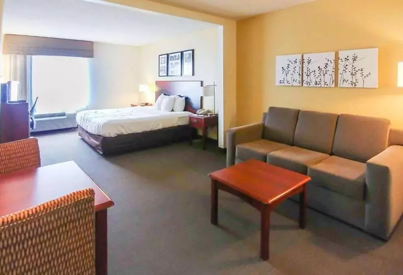 キングサイズベッドのデラックススイート, Wingate By Wyndham Dublin Near Claytor Lake State Park