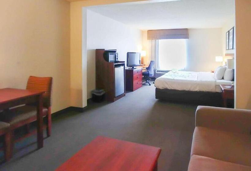 带大床的复式套间, Wingate By Wyndham Dublin Near Claytor Lake State Park