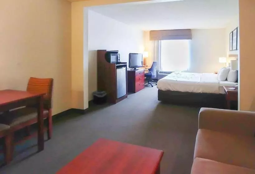 キングサイズベッドのデラックススイート, Wingate By Wyndham Dublin Near Claytor Lake State Park