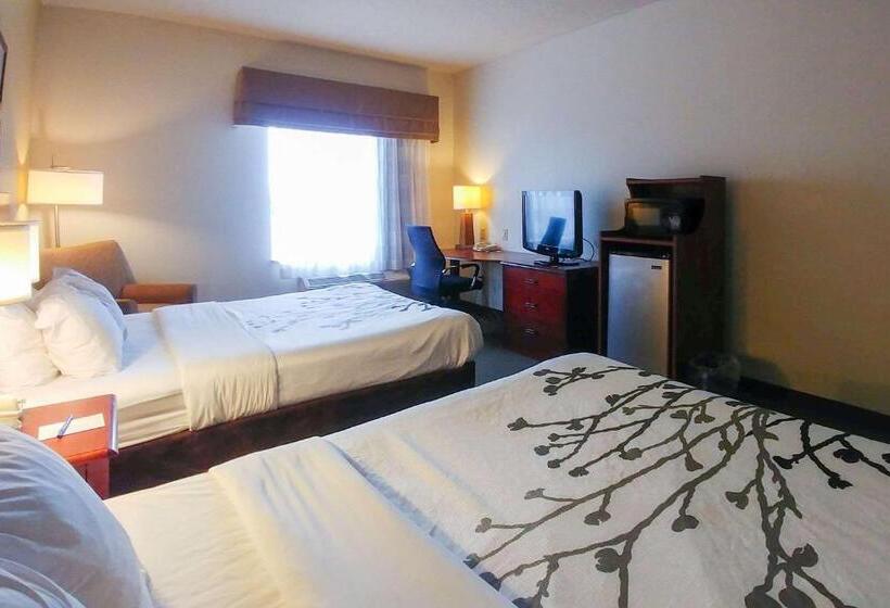 Номер Стандарт Кровать Квин Адаптированный для Инвалидов, Wingate By Wyndham Dublin Near Claytor Lake State Park