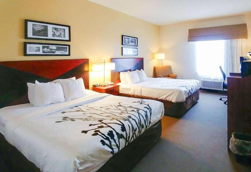 标准间, Wingate By Wyndham Dublin Near Claytor Lake State Park