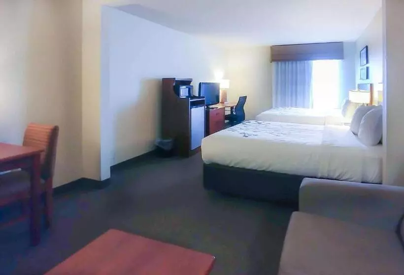 スタンダードスタジオ, Wingate By Wyndham Dublin Near Claytor Lake State Park