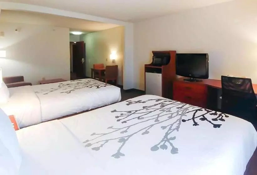 スタンダードスタジオ, Wingate By Wyndham Dublin Near Claytor Lake State Park