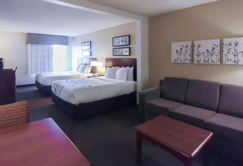 スタンダードスタジオ, Wingate By Wyndham Dublin Near Claytor Lake State Park