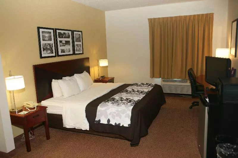 身障者適用キングサイズベッドルーム, Wingate By Wyndham Dublin Near Claytor Lake State Park