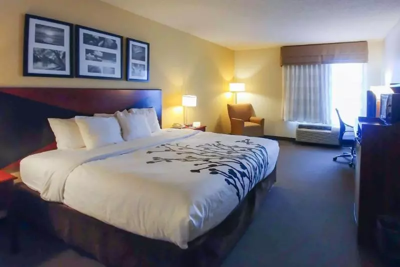 身障者適用キングサイズベッドルーム, Wingate By Wyndham Dublin Near Claytor Lake State Park