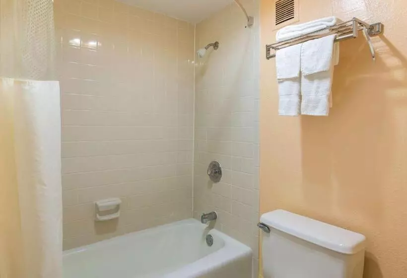身障者適用キングサイズベッドルーム, Motel 6 Macon, Ga