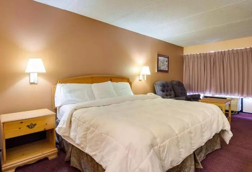 身障者適用キングサイズベッドルーム, Motel 6 Macon, Ga