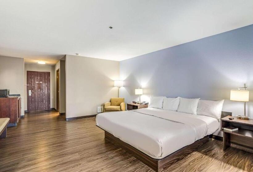 جناح سرير كينج, Quality Inn Calvert City  Paducah East