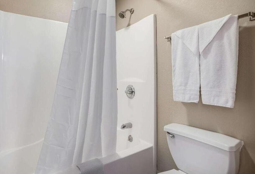 غرفة قياسية لذوى الاحتياجات الخاصة, Quality Inn Calvert City  Paducah East