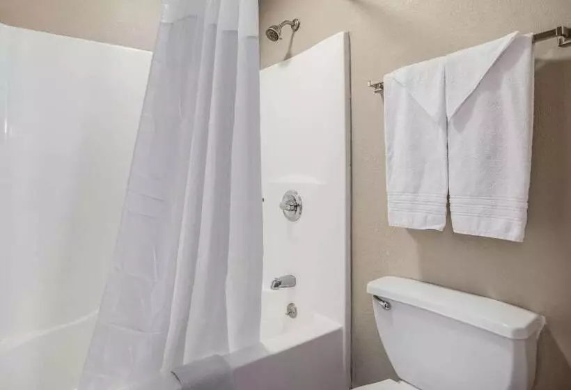 身障者適用スタンダードルーム, Quality Inn Calvert City  Paducah East