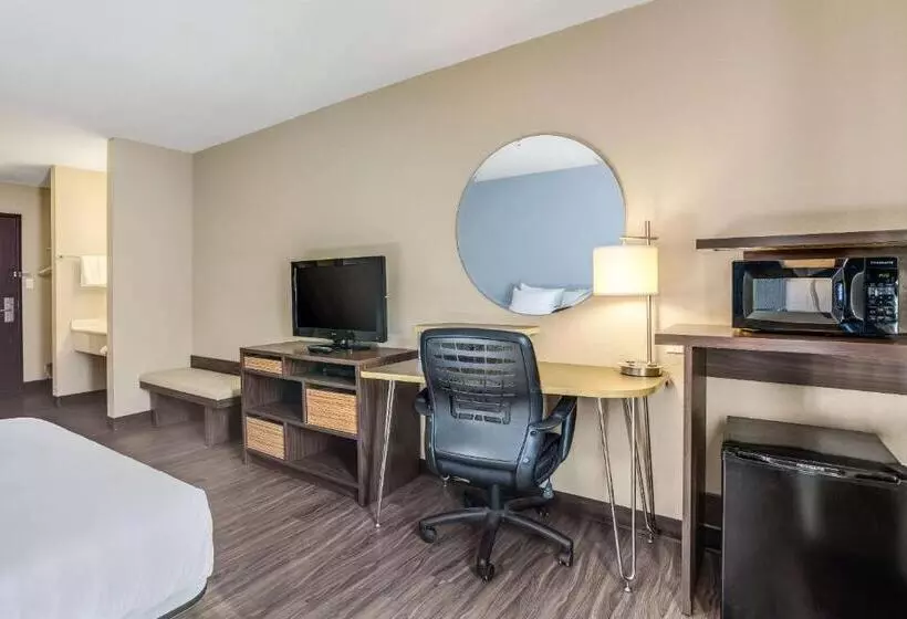 身障者適用スタンダードルーム, Quality Inn Calvert City  Paducah East
