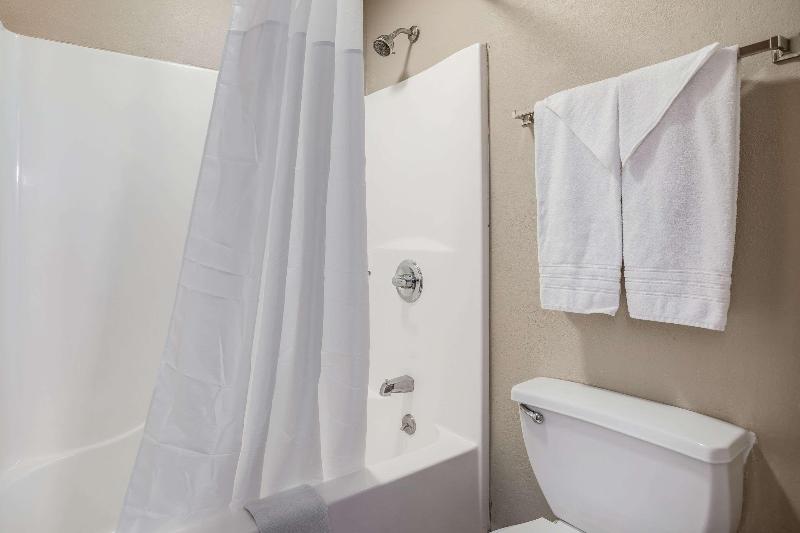 장애인을 위한 킹사이즈 침대 스탠다드 룸, Quality Inn Calvert City  Paducah East