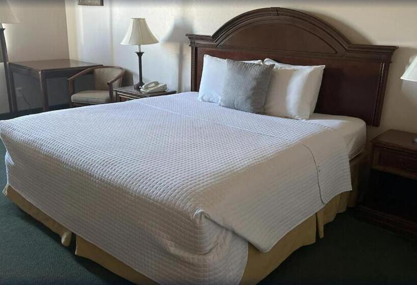 스탠다드 룸 킹사이즈 침대, Scipio