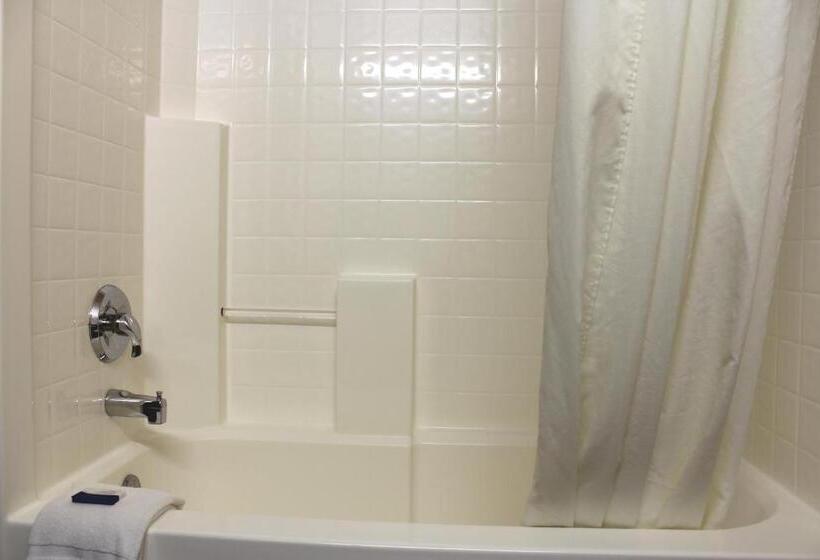 스탠다드 룸, Scipio