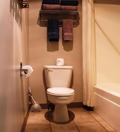 스탠다드 룸 킹사이즈 침대, Scipio