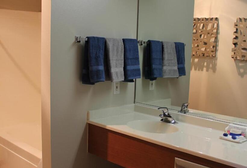 스탠다드 룸 킹사이즈 침대, Scipio