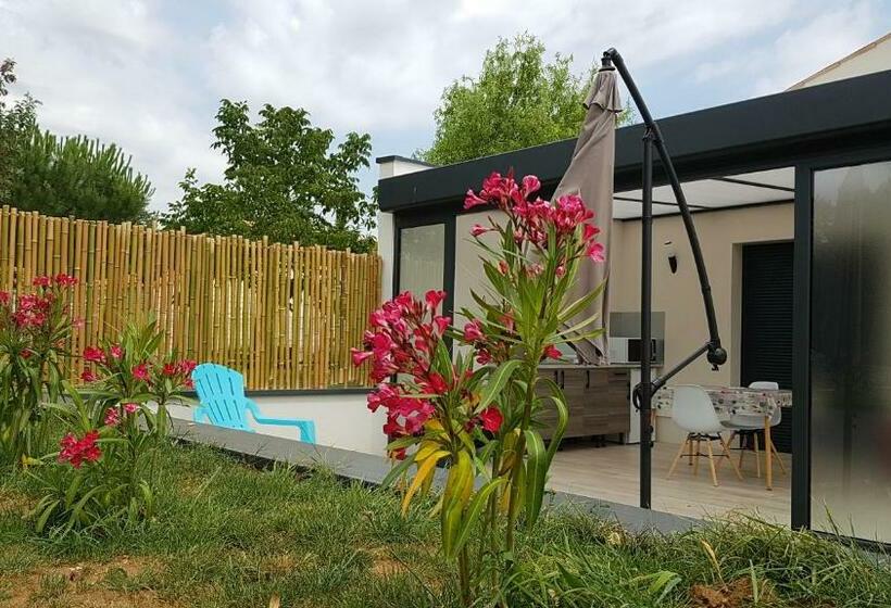 带泳池的标准三人间, Alolival