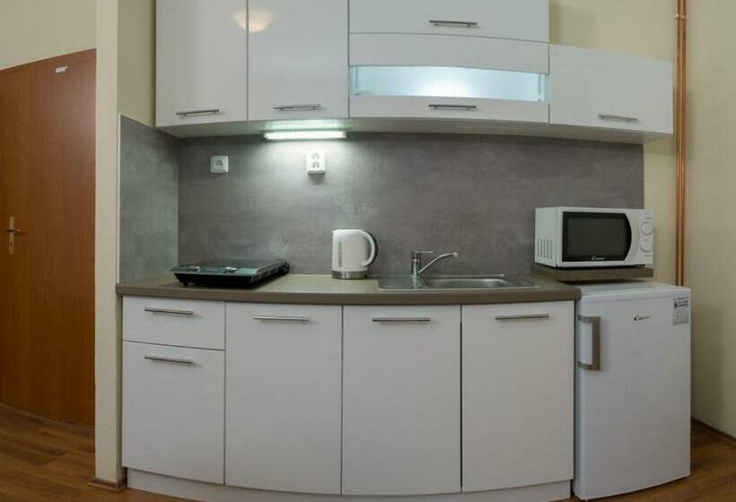 家庭套房, Apartmány Divoký Anděl