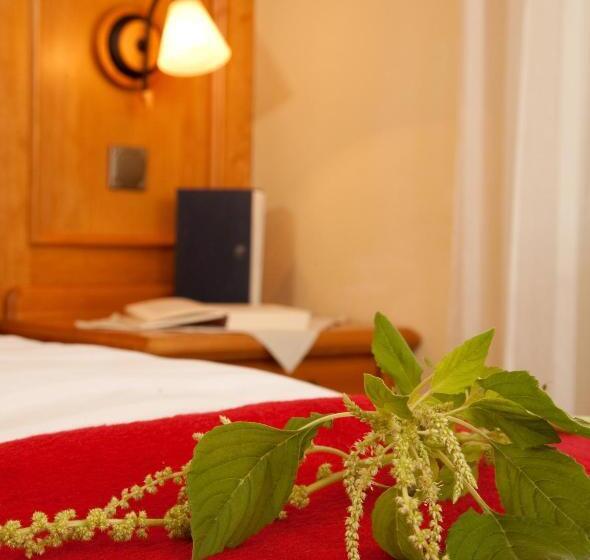 Номер Стандарт с Балконом, Landhotel Bayerwald