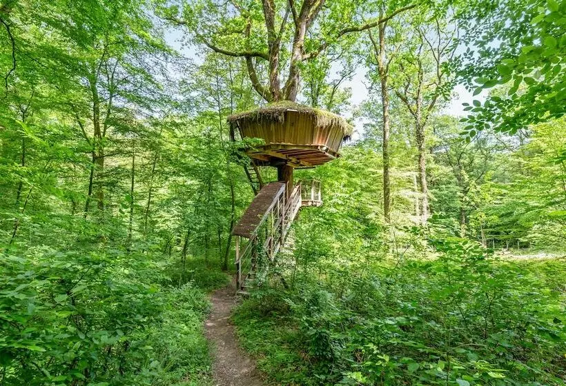 １ベッドルームハウス, L'arbre à Cabane