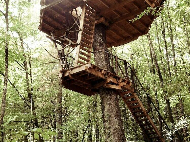 Дом 1 Спальня, L'arbre à Cabane