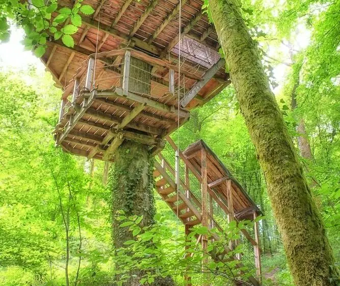 １ベッドルームハウス, L'arbre à Cabane
