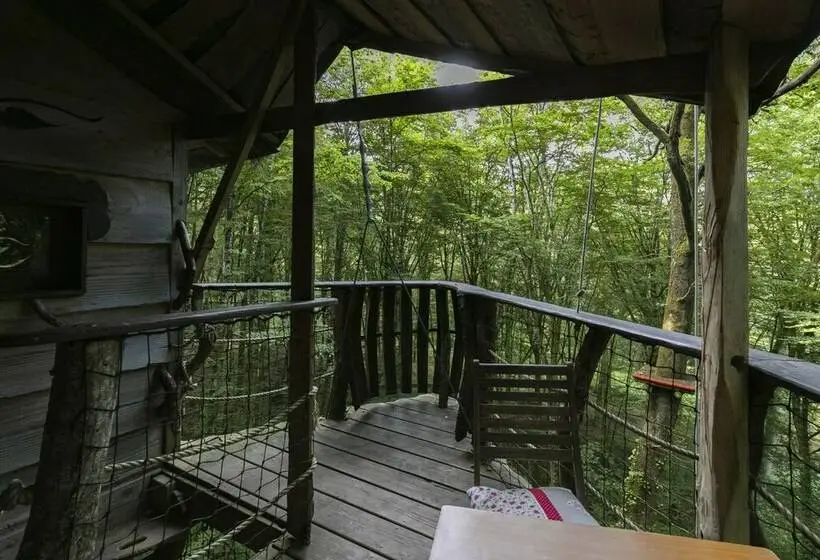 １ベッドルームハウス, L'arbre à Cabane