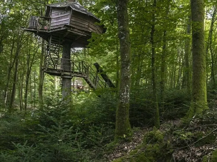 １ベッドルームハウス, L'arbre à Cabane