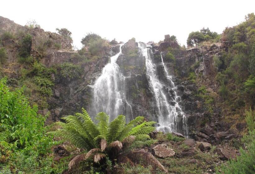 غرفة قياسية مطلة على الجبل, Bischoff