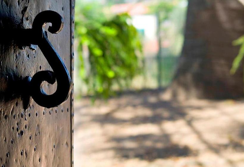 غرفة سوبيريور, Agriturismo La Petrosa