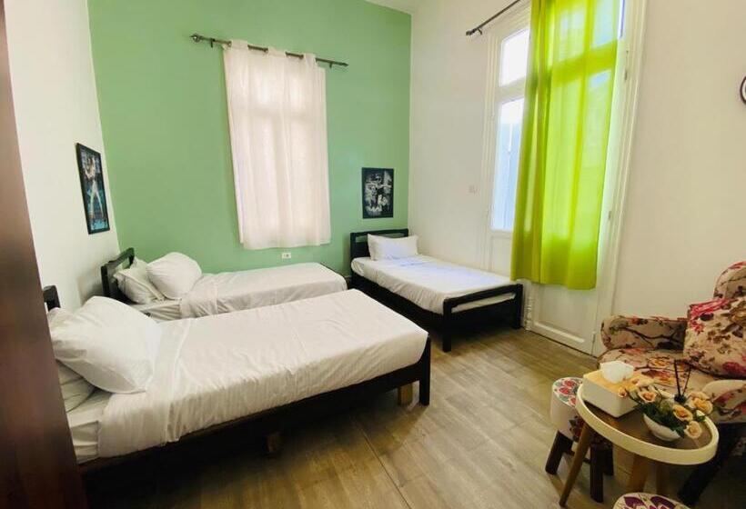 تختخواب در اتاق مشترک, City Hostel Dormitory